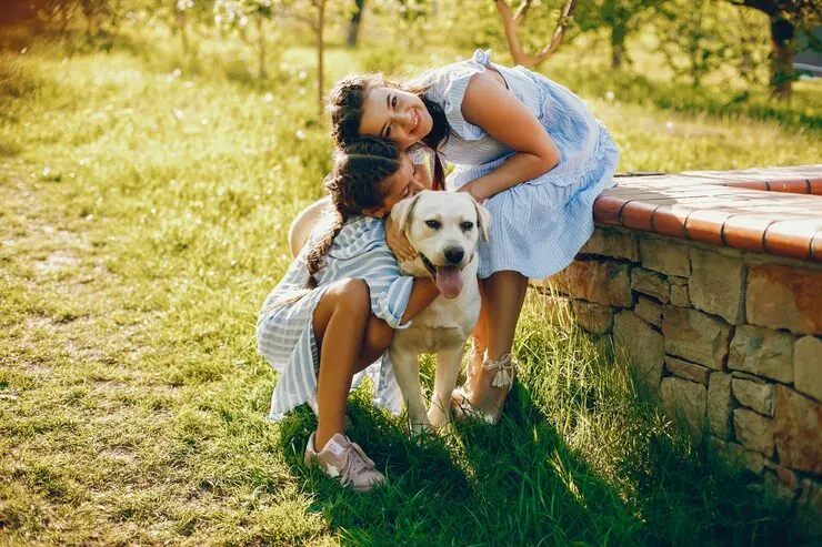 Exotic Pet Relocation Services from Canada to the UK 